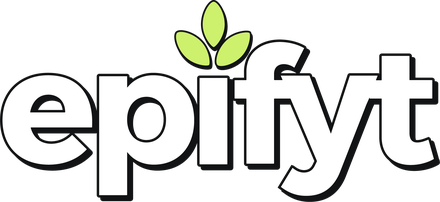 Epifyt